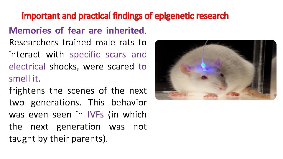 Important and practical findings of epigenetic research Memories of fear are inherited. Researchers trained
