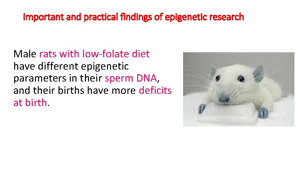 Important and practical findings of epigenetic research Male rats with low-folate diet have different