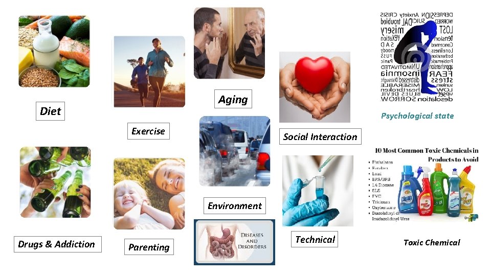 Aging Diet Psychological state Exercise Social Interaction Environment Drugs & Addiction Parenting Technical Toxic
