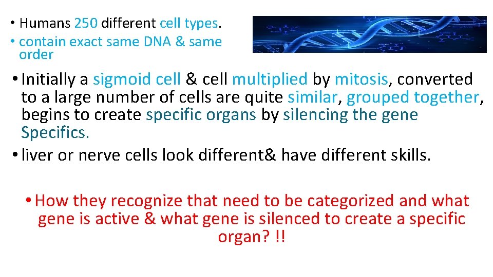  • Humans 250 different cell types. • contain exact same DNA & same