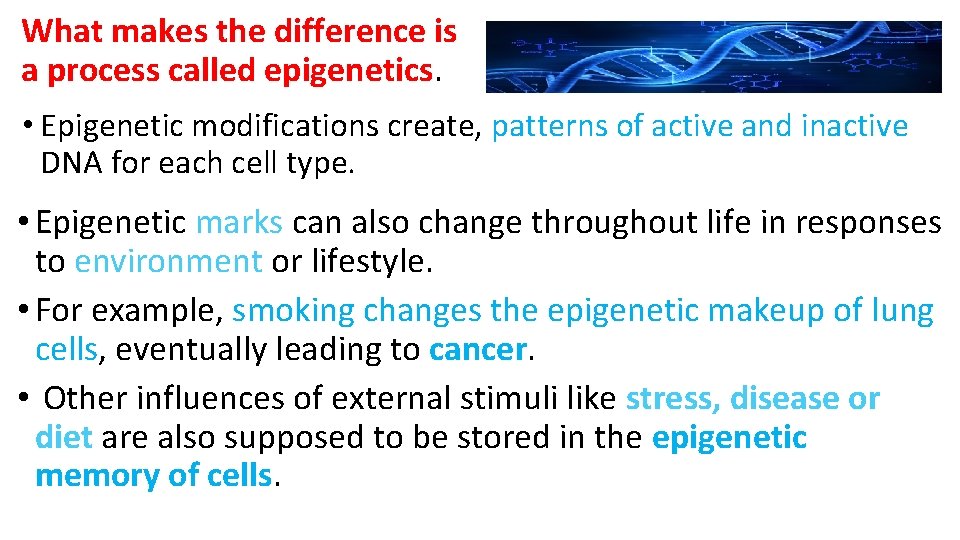What makes the difference is a process called epigenetics. • Epigenetic modifications create, patterns