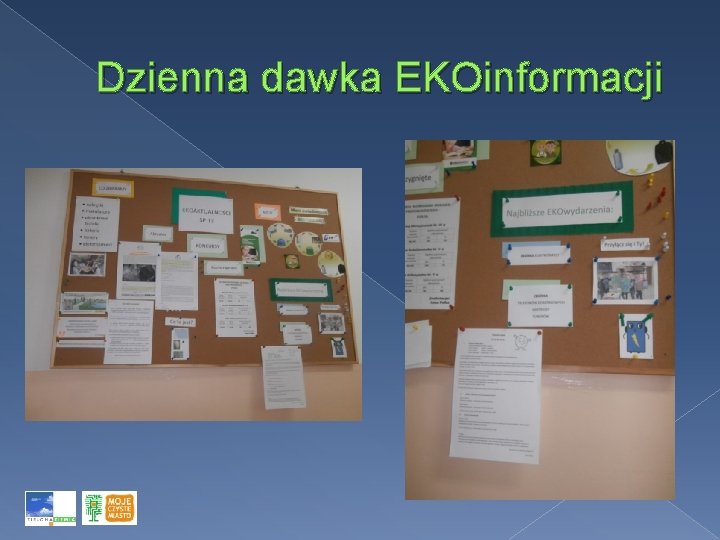 Dzienna dawka EKOinformacji 