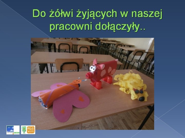 Do żółwi żyjących w naszej pracowni dołączyły. . 