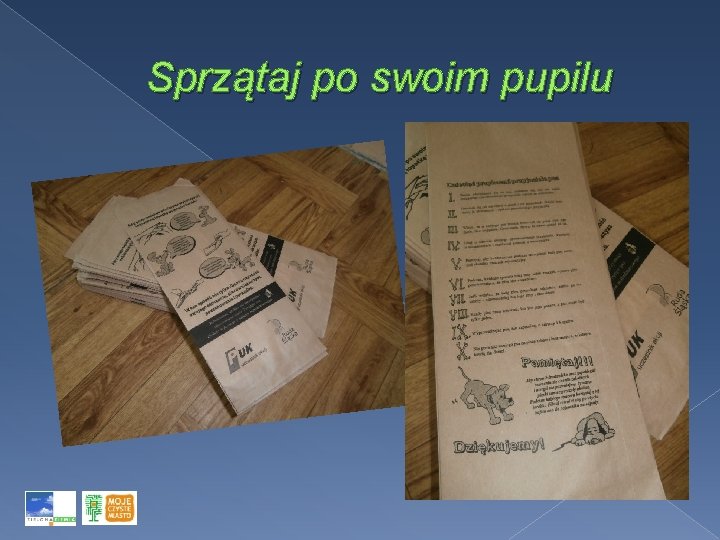 Sprzątaj po swoim pupilu 