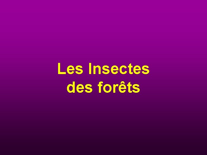 Les Insectes des forêts 
