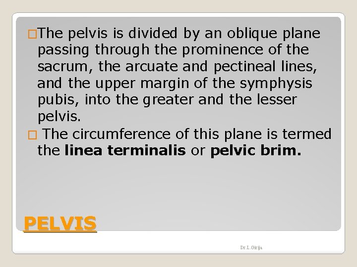 �The pelvis is divided by an oblique plane passing through the prominence of the