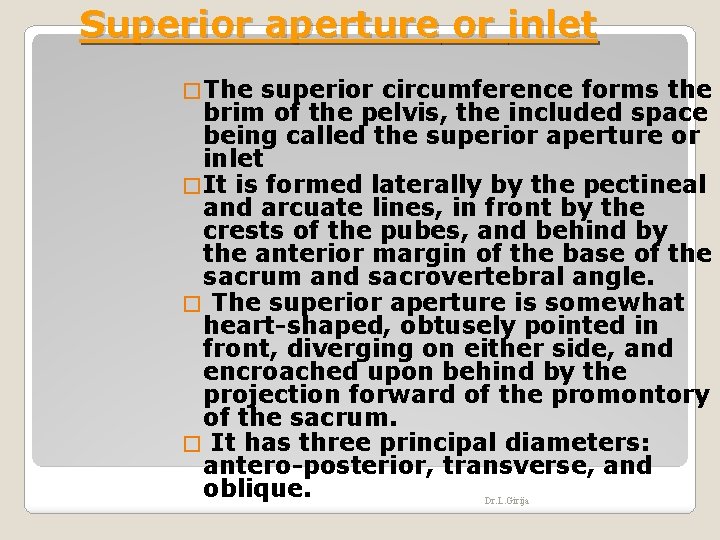 Superior aperture or inlet � The superior circumference forms the brim of the pelvis,