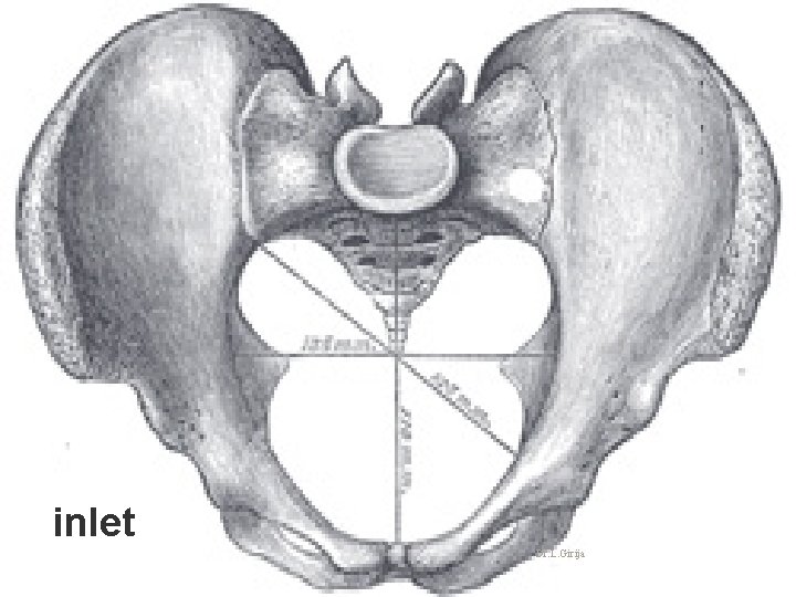 inlet Dr. L. Girija inlet Dr. L. Girija