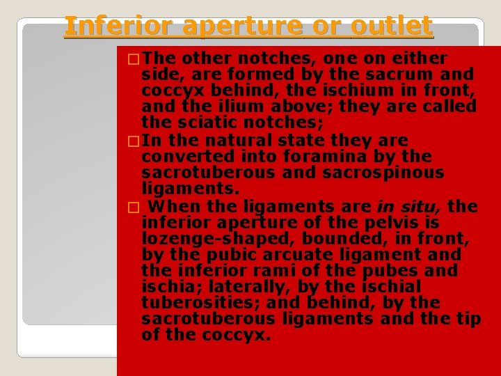 Inferior aperture or outlet � The other notches, one on either side, are formed Inferior aperture or outlet � The other notches, one on either side, are formed