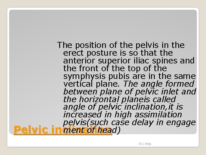 Pelvic The position of the pelvis in the erect posture is so that the