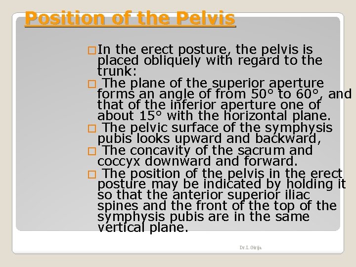 Position of the Pelvis �In the erect posture, the pelvis is placed obliquely with