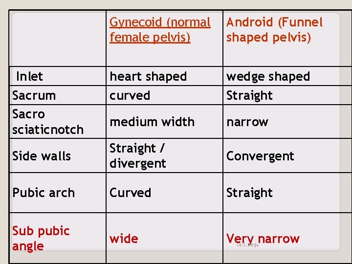 Gynecoid (normal female pelvis) Android (Funnel shaped pelvis) heart shaped curved wedge shaped Straight