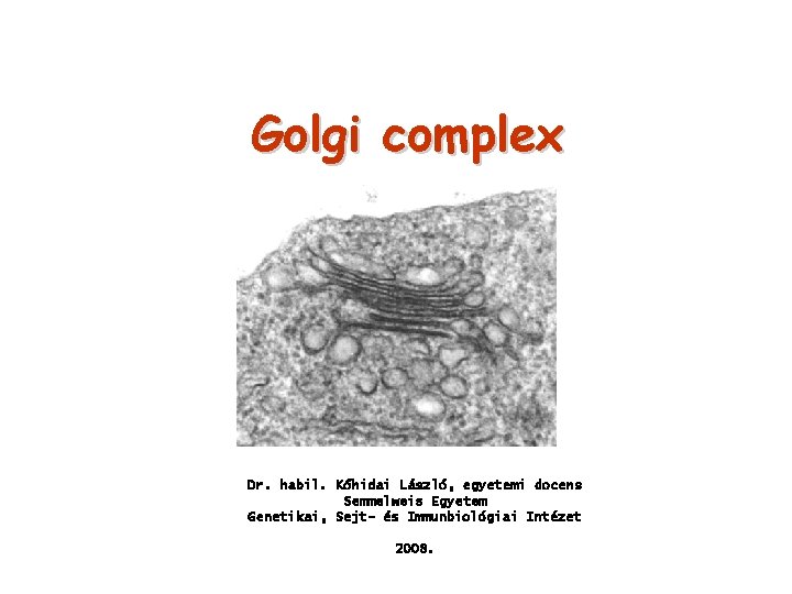 Golgi complex Dr. habil. Kőhidai László, egyetemi docens Semmelweis Egyetem Genetikai, Sejt- és Immunbiológiai