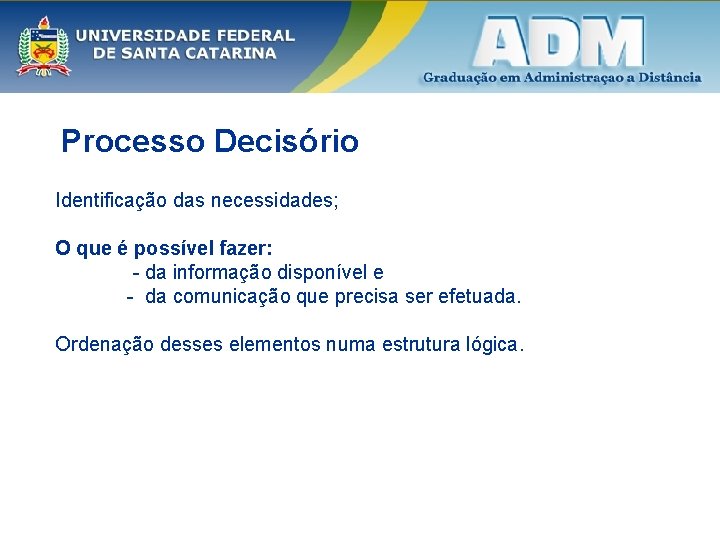 Processo Decisório Identificação das necessidades; O que é possível fazer: - da informação disponível