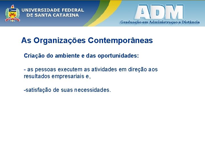 As Organizações Contemporâneas Criação do ambiente e das oportunidades: - as pessoas executem as