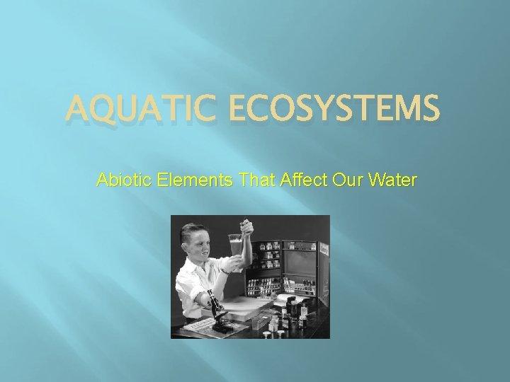 AQUATIC ECOSYSTEMS Abiotic Elements That Affect Our Water 