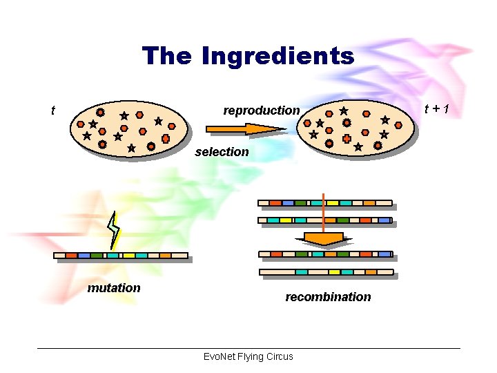 The Ingredients t reproduction selection mutation recombination Evo. Net Flying Circus t+1 