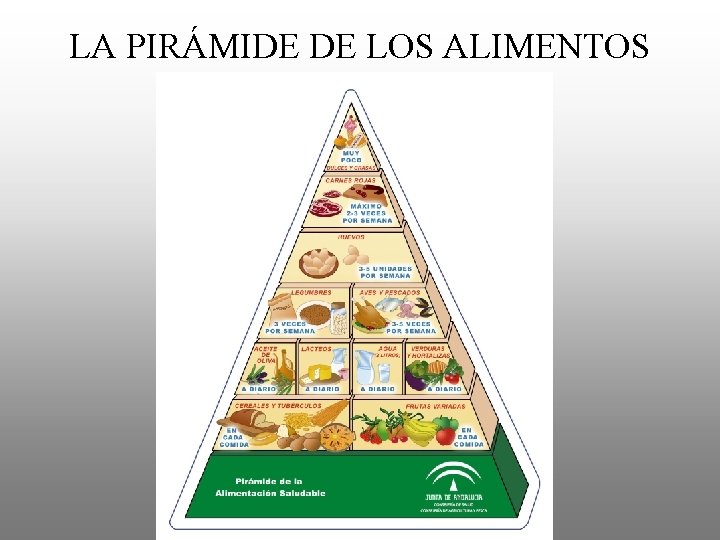 LA PIRÁMIDE DE LOS ALIMENTOS 