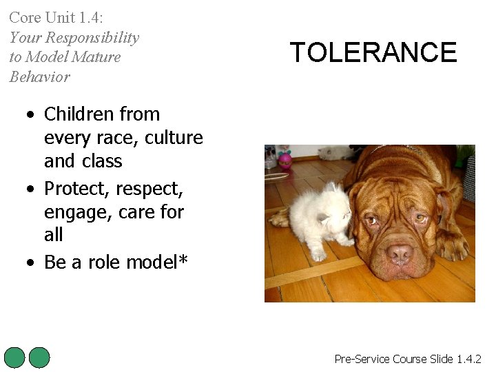 Core Unit 1. 4: Your Responsibility to Model Mature Behavior TOLERANCE • Children from