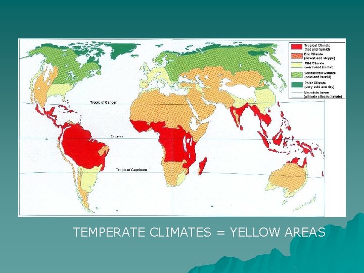 TEMPERATE CLIMATES = YELLOW AREAS 