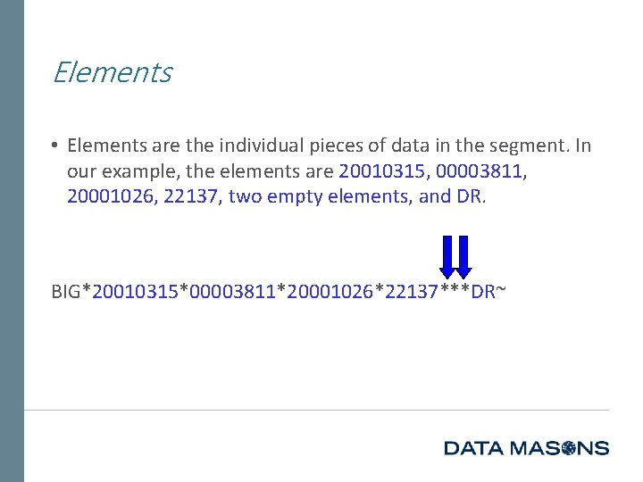 Elements • Elements are the individual pieces of data in the segment. In our