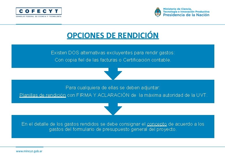 OPCIONES DE RENDICIÓN Existen DOS alternativas excluyentes para rendir gastos: Con copia fiel de