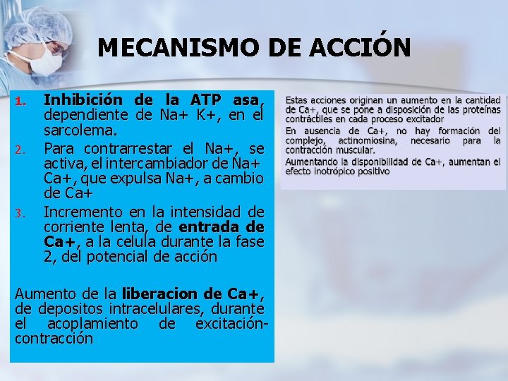 MECANISMO DE ACCIÓN 1. 2. 3. Inhibición de la ATP asa, dependiente de Na+