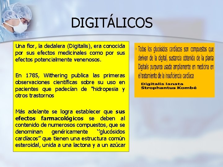 DIGITÁLICOS Una flor, la dedalera (Digitalis), era conocida por sus efectos medicinales como por