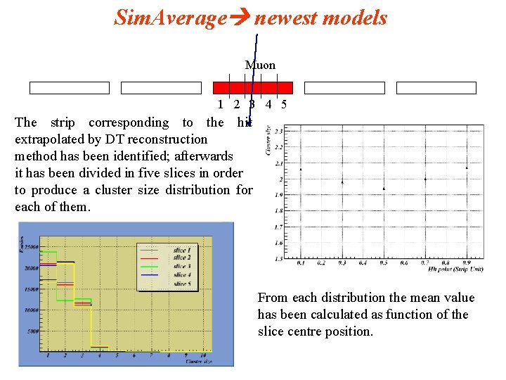 Sim. Average newest models Muon 1 2 3 4 5 The strip corresponding to