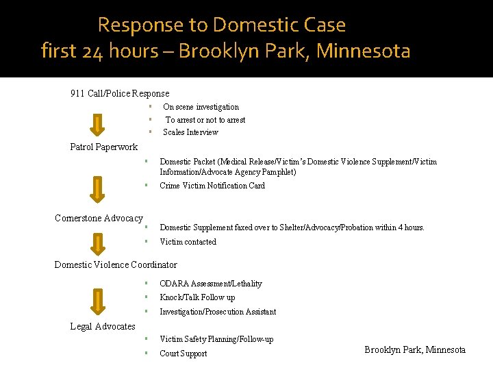 Response to Domestic Case first 24 hours – Brooklyn Park, Minnesota 911 Call/Police Response