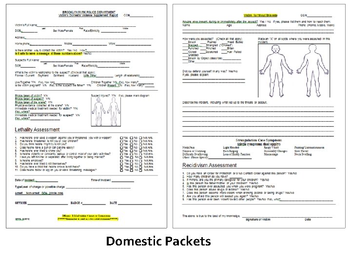 Domestic Packets 