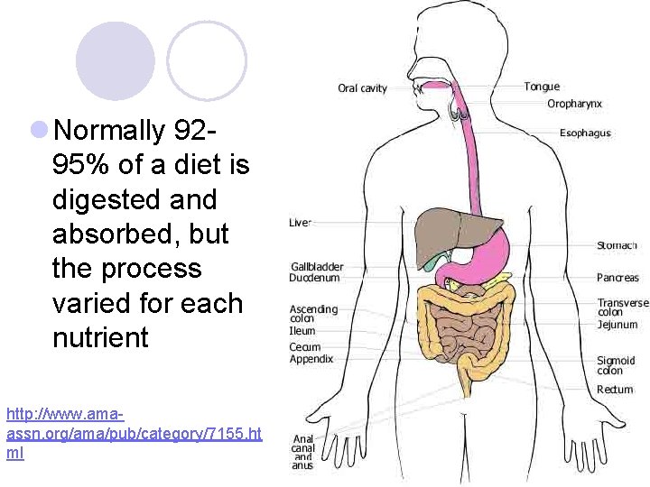 l Normally 92 - 95% of a diet is digested and absorbed, but the