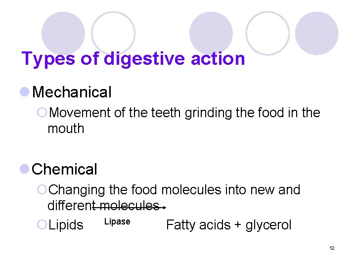 Types of digestive action l Mechanical ¡Movement of the teeth grinding the food in