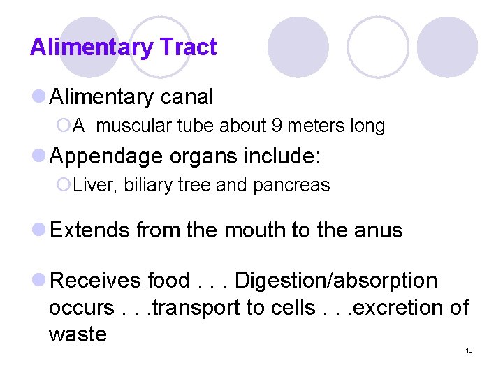 Alimentary Tract l Alimentary canal ¡A muscular tube about 9 meters long l Appendage