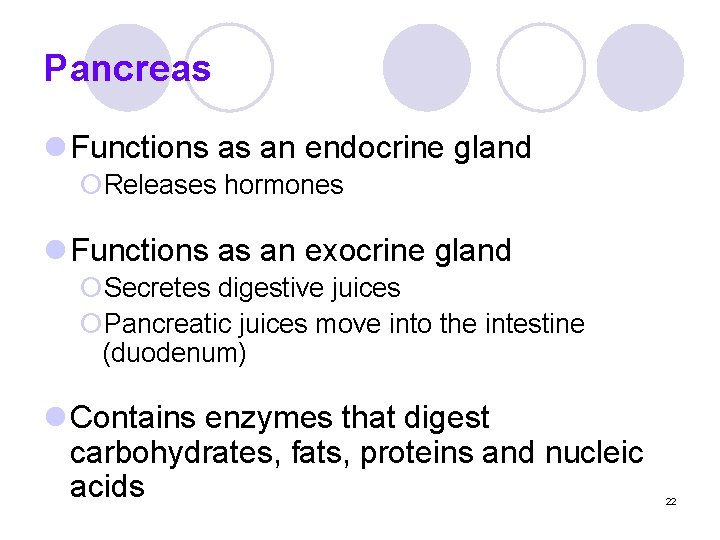 Pancreas l Functions as an endocrine gland ¡Releases hormones l Functions as an exocrine