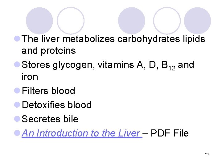 l The liver metabolizes carbohydrates lipids and proteins l Stores glycogen, vitamins A, D,