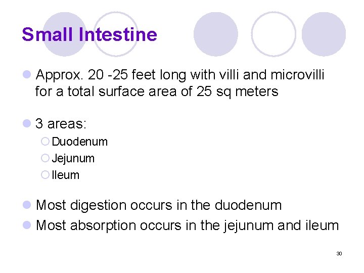 Small Intestine l Approx. 20 -25 feet long with villi and microvilli for a