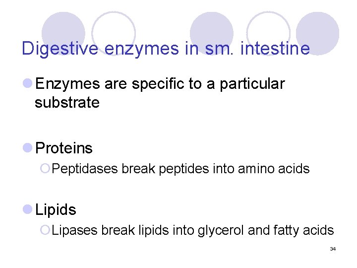 Digestive enzymes in sm. intestine l Enzymes are specific to a particular substrate l