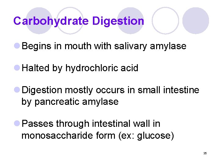 Carbohydrate Digestion l Begins in mouth with salivary amylase l Halted by hydrochloric acid