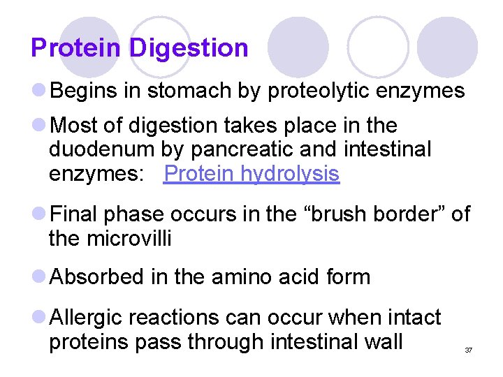 Protein Digestion l Begins in stomach by proteolytic enzymes l Most of digestion takes