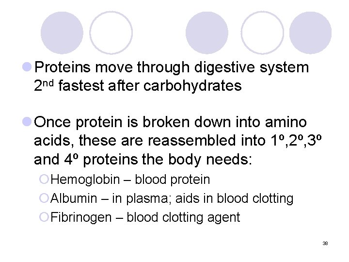 l Proteins move through digestive system 2 nd fastest after carbohydrates l Once protein