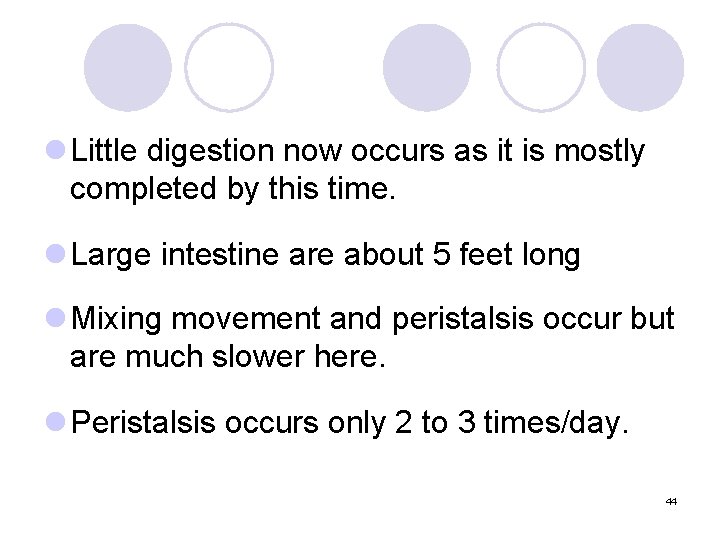 l Little digestion now occurs as it is mostly completed by this time. l