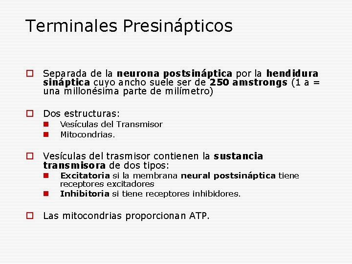 Terminales Presinápticos Separada de la neurona postsináptica por la hendidura sináptica cuyo ancho suele