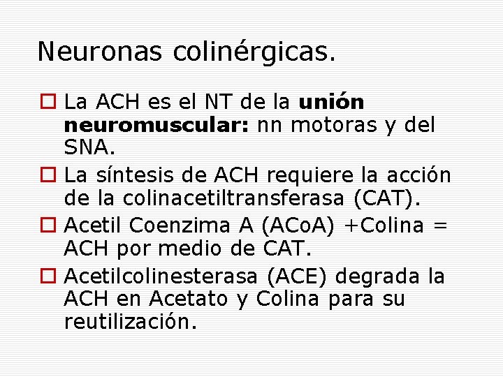 Neuronas colinérgicas. La ACH es el NT de la unión neuromuscular: nn motoras y