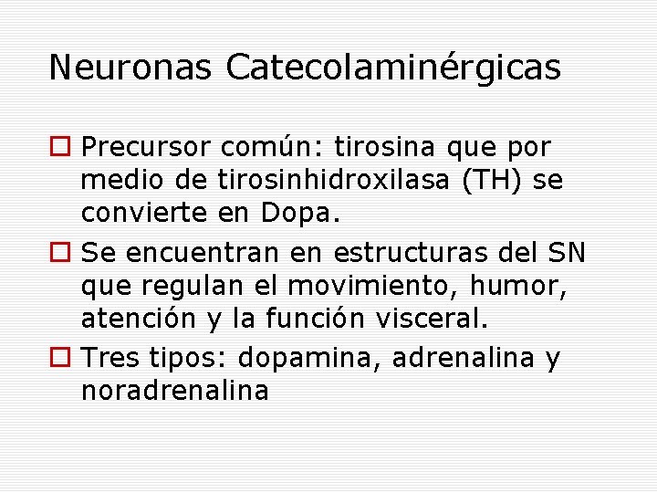 Neuronas Catecolaminérgicas Precursor común: tirosina que por medio de tirosinhidroxilasa (TH) se convierte en
