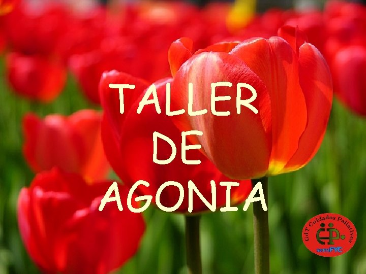 TALLER DE AGONIA 