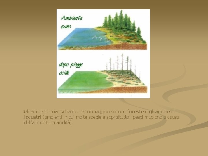 Gli ambienti dove si hanno danni maggiori sono le foreste e gli ambienti lacustri