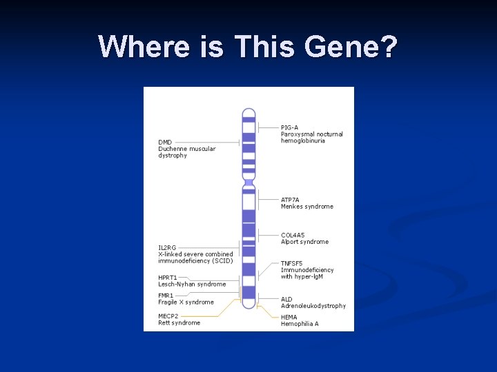 Where is This Gene? Where is This Gene?