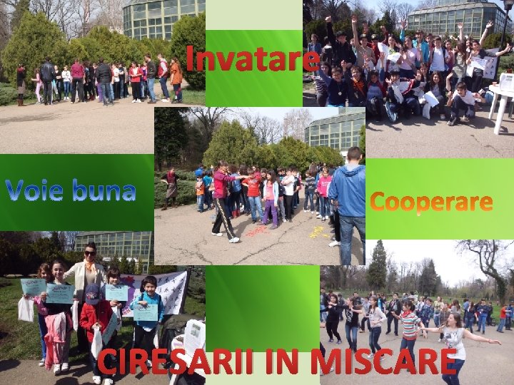 Invatare CIRESARII IN MISCARE 