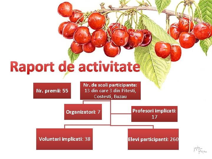 Raport de activitate Nr. premii: 55 Nr. de scoli participante: 13 din care 3